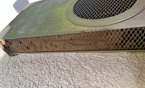 dusted-480 image